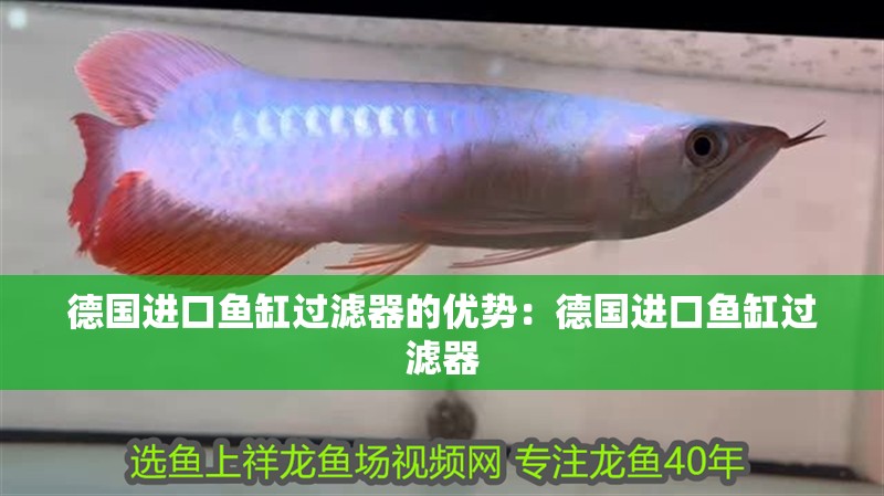 德國進(jìn)口魚缸過濾器的優(yōu)勢：德國進(jìn)口魚缸過濾器