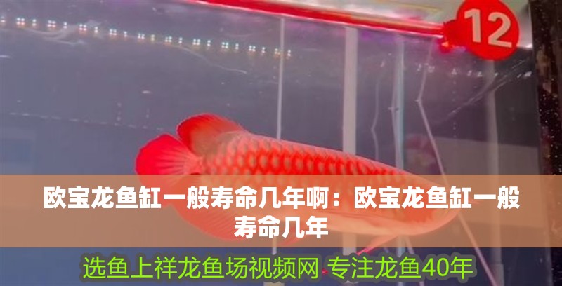 歐寶龍魚(yú)缸一般壽命幾年啊：歐寶龍魚(yú)缸一般壽命幾年