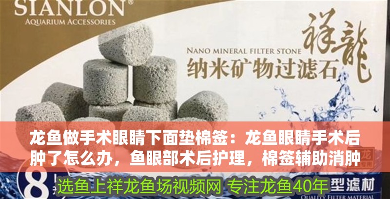 龍魚做手術眼睛下面墊棉簽：龍魚眼睛手術后腫了怎么辦，魚眼部術后護理，棉簽輔助消腫