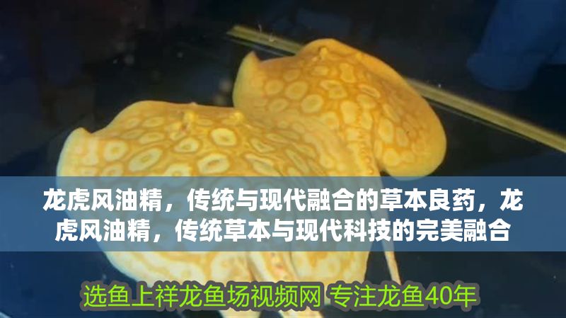 龍虎風油精，傳統與現代融合的草本良藥，龍虎風油精，傳統草本與現代科技的完美融合