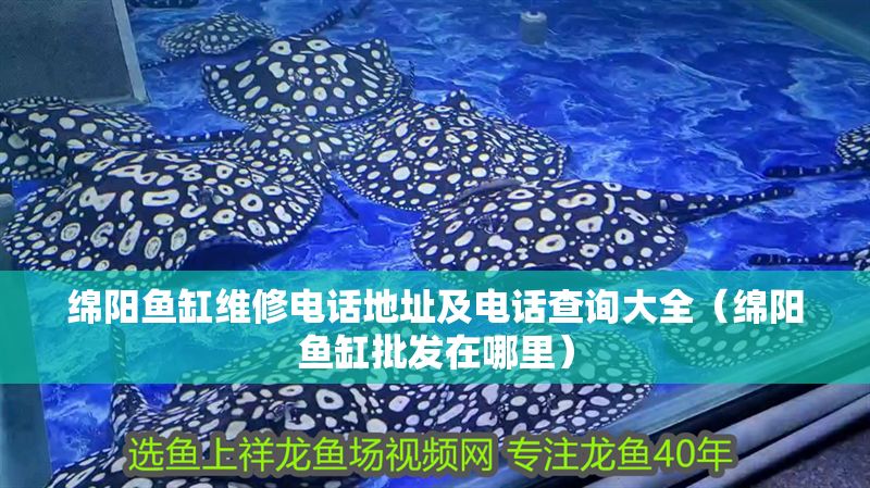綿陽魚缸維修電話地址及電話查詢大全(綿陽魚缸批發(fā)在哪里) 錦鯉魚百科 第1張 綿陽魚缸維修電話地址及電話查詢大全(綿陽魚缸批發(fā)在哪里) 綿陽魚缸維修電話地址及電話查詢大全(綿陽魚缸批發(fā)在哪里) 錦鯉魚百科 第1張