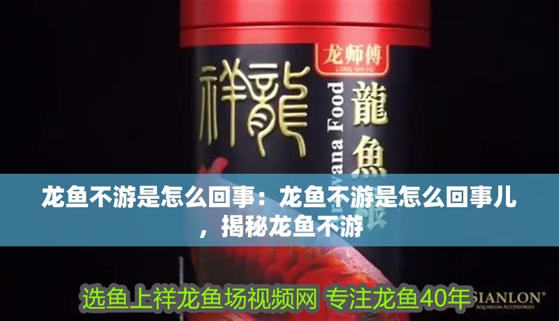 龍魚不游是怎么回事：龍魚不游是怎么回事兒，揭秘龍魚不游 龍魚不游是怎么回事：龍魚不游是怎么回事兒，揭秘龍魚不游 水族問答