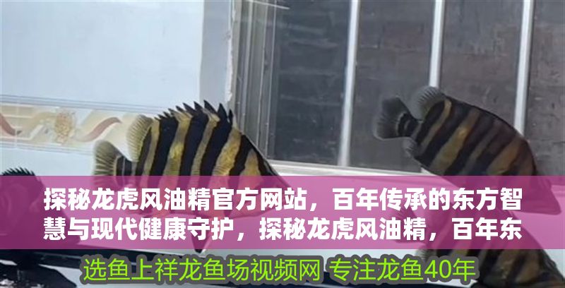 探秘龍虎風(fēng)油精官方網(wǎng)站，百年傳承的東方智慧與現(xiàn)代健康守護(hù)，探秘龍虎風(fēng)油精，百年?yáng)|方智慧與現(xiàn)代健康守護(hù)的完美融合