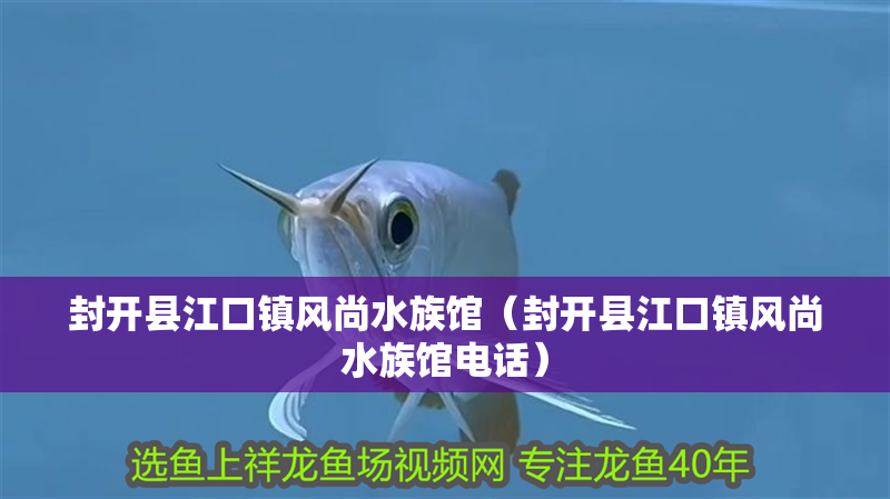 封開縣江口鎮風尚水族館（封開縣江口鎮風尚水族館電話）