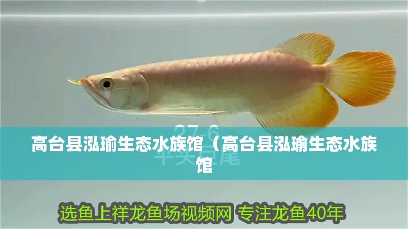 高臺縣泓瑜生態水族館（高臺縣泓瑜生態水族館 高臺縣泓瑜生態水族館（高臺縣泓瑜生態水族館 全國水族館企業名錄 第2張