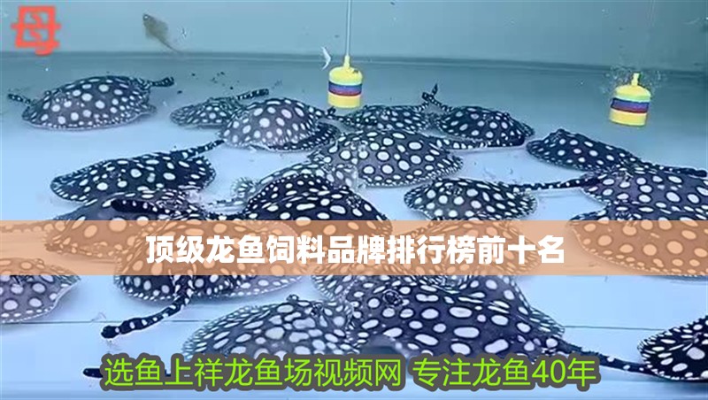 頂級龍魚飼料品牌排行榜前十名