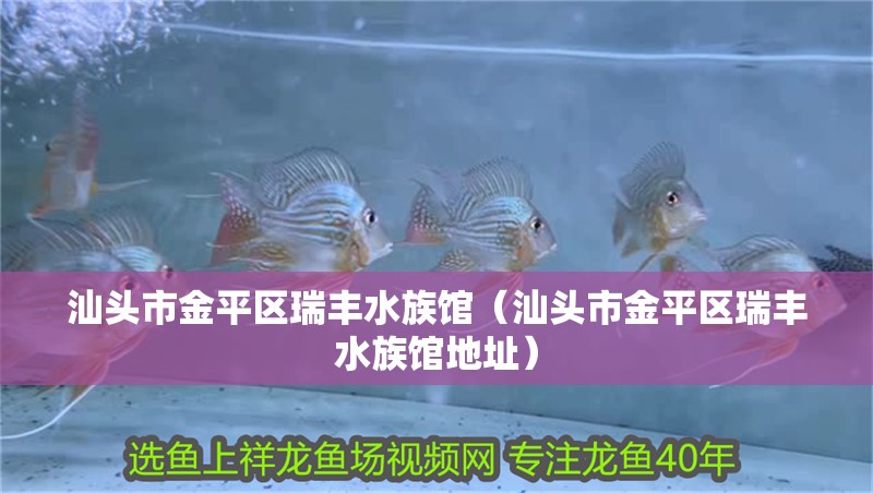 汕頭市金平區(qū)瑞豐水族館（汕頭市金平區(qū)瑞豐水族館地址）