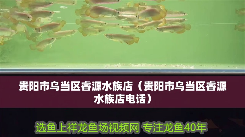 貴陽市烏當(dāng)區(qū)睿源水族店(貴陽市烏當(dāng)區(qū)睿源水族店電話) 全國水族館企業(yè)名錄 第2張 貴陽市烏當(dāng)區(qū)睿源水族店(貴陽市烏當(dāng)區(qū)睿源水族店電話) 貴陽市烏當(dāng)區(qū)睿源水族店(貴陽市烏當(dāng)區(qū)睿源水族店電話) 全國水族館企業(yè)名錄 第2張