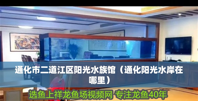 通化市二道江區陽光水族館（通化陽光水岸在哪里） 通化市二道江區陽光水族館（通化陽光水岸在哪里） 全國水族館企業名錄 第2張