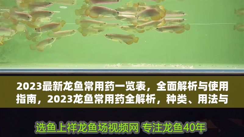 2023最新龍魚常用藥一覽表，全面解析與使用指南，2023龍魚常用藥全解析，種類、用法與注意事項(xiàng)指南