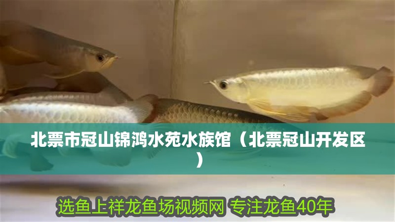 北票市冠山錦鴻水苑水族館（北票冠山開發(fā)區(qū)） 北票市冠山錦鴻水苑水族館（北票冠山開發(fā)區(qū)） 全國水族館企業(yè)名錄 第2張