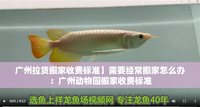 廣州拉貨搬家收費(fèi)標(biāo)準(zhǔn)】需要經(jīng)常搬家怎么辦：廣州動(dòng)物園搬家收費(fèi)標(biāo)準(zhǔn)