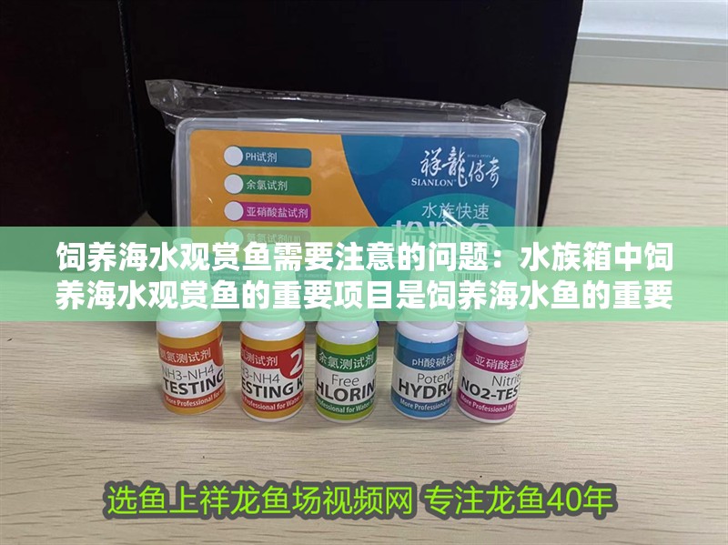 飼養(yǎng)海水觀賞魚(yú)需要注意的問(wèn)題：水族箱中飼養(yǎng)海水觀賞魚(yú)的重要項(xiàng)目是飼養(yǎng)海水魚(yú)的重要項(xiàng)目