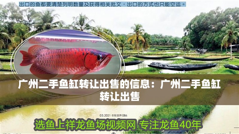廣州二手魚缸轉讓出售的信息：廣州二手魚缸轉讓出售 廣州二手魚缸轉讓出售的信息：廣州二手魚缸轉讓出售 魚缸百科