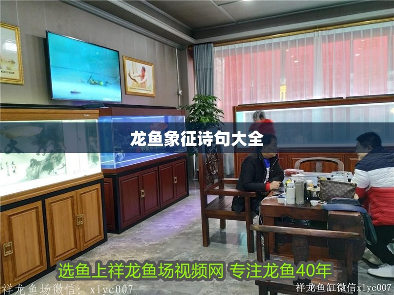 龍魚象征詩句大全