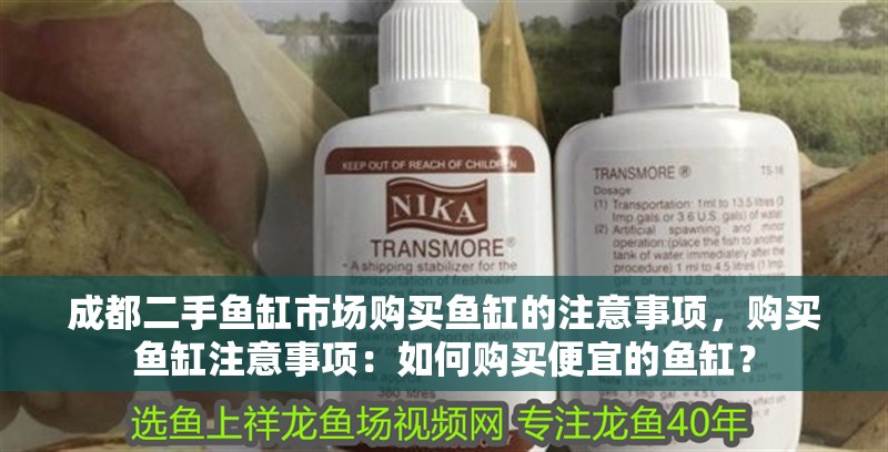 給大魚缸換水的作文:體驗給大魚缸換水的樂趣:體驗給大魚缸換水:給大魚缸換水的作文 成都二手魚缸市場購買魚缸的注意事項,購買魚缸注意事項:如何購買便宜的魚缸? 魚缸百科 成都二手魚缸市場購買魚缸的注意事項,購買魚缸注意事項:如何購買便宜的魚缸? 成都二手魚缸市場購買魚缸的注意事項,購買魚缸注意事項:如何購買便宜的魚缸? 魚缸百科