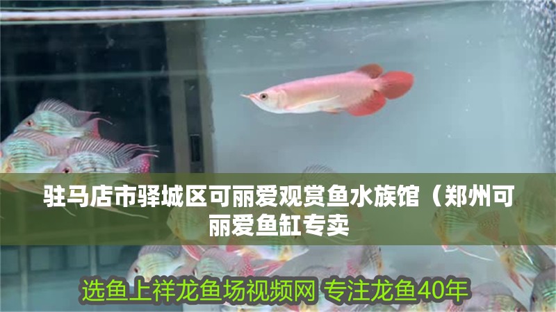 駐馬店市驛城區可麗愛觀賞魚水族館（鄭州可麗愛魚缸專賣