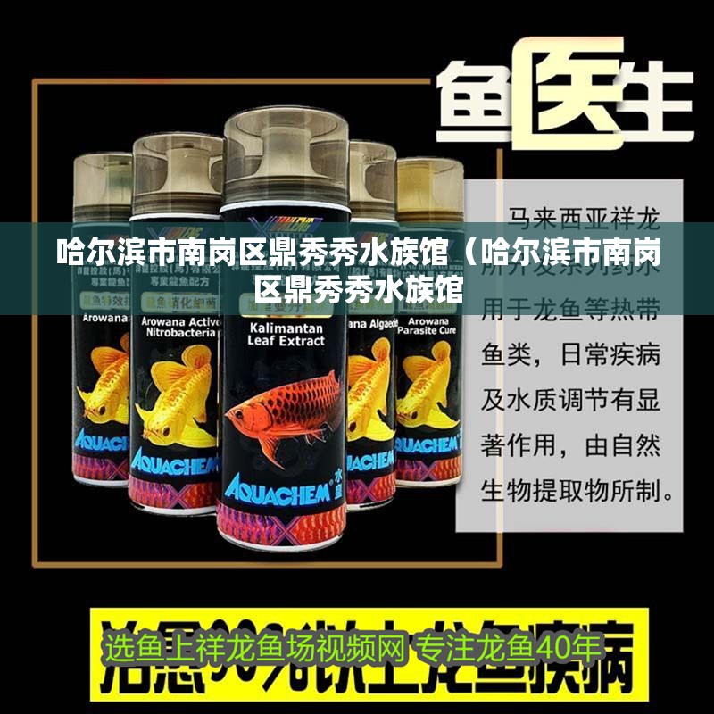 哈爾濱市南崗區鼎秀秀水族館（哈爾濱市南崗區鼎秀秀水族館 哈爾濱市南崗區鼎秀秀水族館（哈爾濱市南崗區鼎秀秀水族館 全國水族館企業名錄 第2張