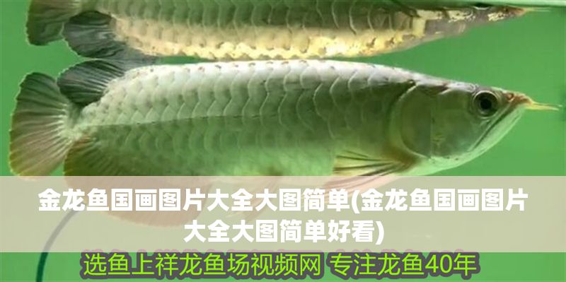 金龍魚國畫圖片大全大圖簡單(金龍魚國畫圖片大全大圖簡單好看) 金龍魚國畫圖片大全大圖簡單(金龍魚國畫圖片大全大圖簡單好看) 黃金貓魚百科 第1張