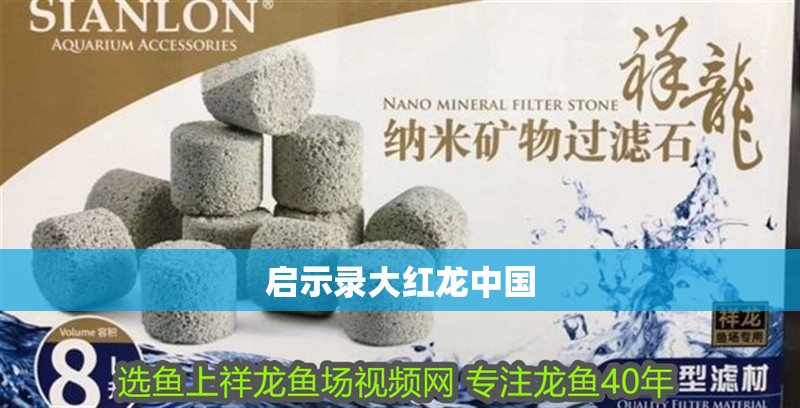 啟示錄大紅龍中國