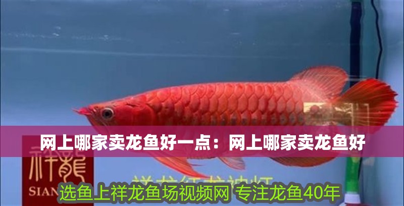 網上哪家賣龍魚好一點：網上哪家賣龍魚好 網上哪家賣龍魚好一點：網上哪家賣龍魚好 龍魚百科