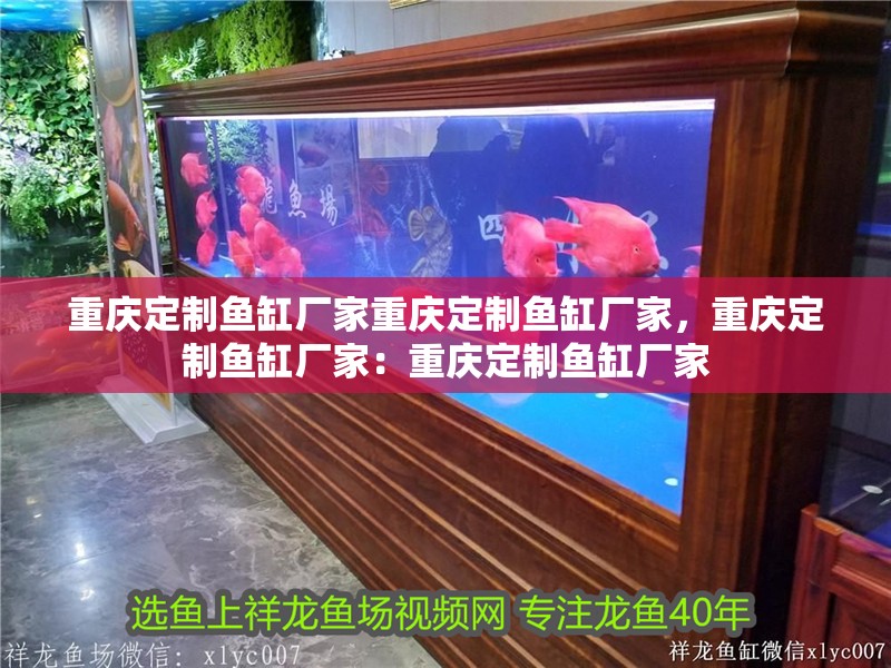 重慶定制魚缸廠家重慶定制魚缸廠家，重慶定制魚缸廠家：重慶定制魚缸廠家