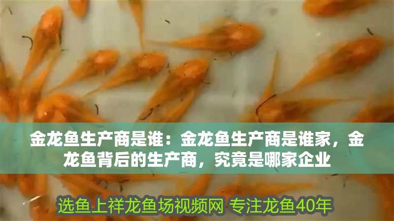 金龍魚生產商是誰：金龍魚生產商是誰家，金龍魚背后的生產商，究竟是哪家企業