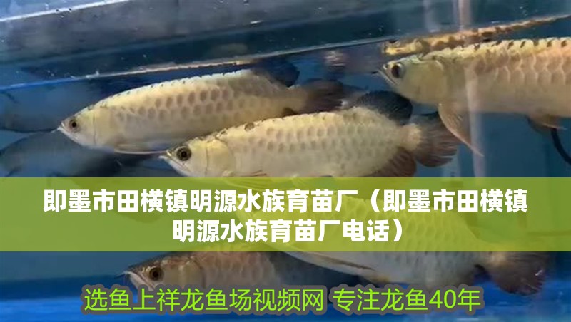 即墨市田橫鎮明源水族育苗廠（即墨市田橫鎮明源水族育苗廠電話） 即墨市田橫鎮明源水族育苗廠（即墨市田橫鎮明源水族育苗廠電話） 全國水族館企業名錄 第2張