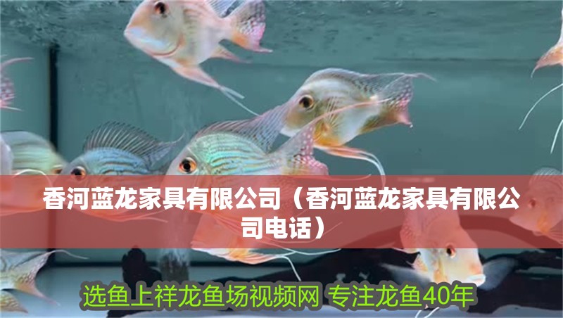 香河藍龍家具有限公司(香河藍龍家具有限公司電話) 全國水族館企業名錄 第2張 香河藍龍家具有限公司(香河藍龍家具有限公司電話) 香河藍龍家具有限公司(香河藍龍家具有限公司電話) 全國水族館企業名錄 第2張