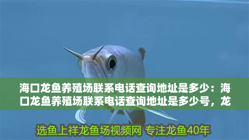 海口龍魚養(yǎng)殖場聯(lián)系電話查詢地址是多少:海口龍魚養(yǎng)殖場聯(lián)系電話查詢地址是多少號,龍魚養(yǎng)殖場聯(lián)系電話及 水族問答 海口龍魚養(yǎng)殖場聯(lián)系電話查詢地址是多少:海口龍魚養(yǎng)殖場聯(lián)系電話查詢地址是多少號,龍魚養(yǎng)殖場聯(lián)系電話及 海口龍魚養(yǎng)殖場聯(lián)系電話查詢地址是多少:海口龍魚養(yǎng)殖場聯(lián)系電話查詢地址是多少號,龍魚養(yǎng)殖場聯(lián)系電話及 水族問答