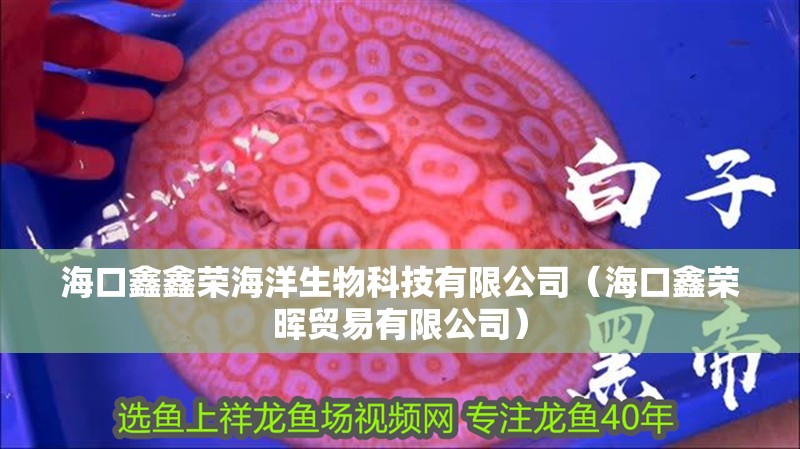 海口鑫鑫榮海洋生物科技有限公司（海口鑫榮暉貿(mào)易有限公司）