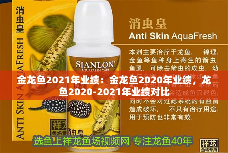 金龍魚2021年業績：金龍魚2020年業績，龍魚2020-2021年業績對比