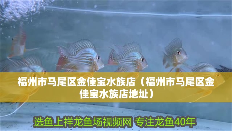 福州市馬尾區金佳寶水族店（福州市馬尾區金佳寶水族店地址）