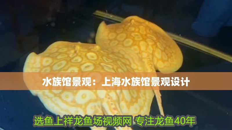 水族館景觀：上海水族館景觀設計