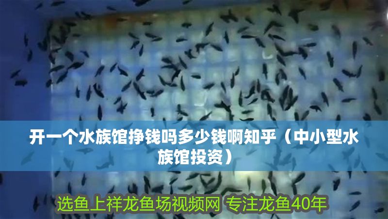 開(kāi)一個(gè)水族館掙錢嗎多少錢啊知乎（中小型水族館投資） 開(kāi)一個(gè)水族館掙錢嗎多少錢啊知乎（中小型水族館投資） 水族館百科（水族館加盟） 第1張