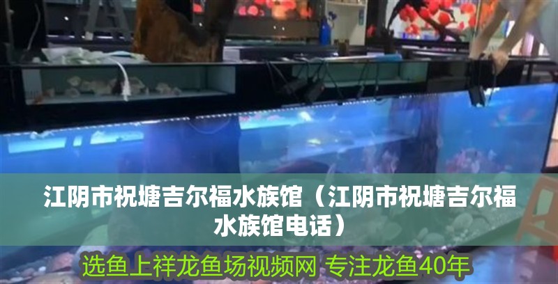 江陰市祝塘吉爾福水族館（江陰市祝塘吉爾福水族館電話）