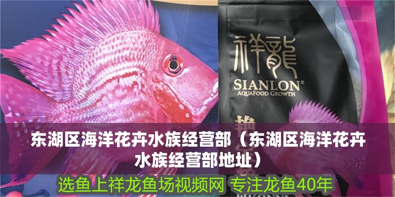 東湖區(qū)海洋花卉水族經(jīng)營(yíng)部（東湖區(qū)海洋花卉水族經(jīng)營(yíng)部地址）