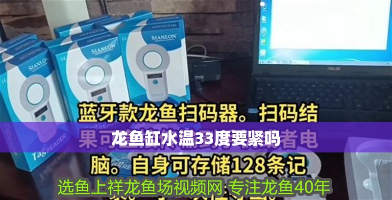 龍魚缸水溫33度要緊嗎