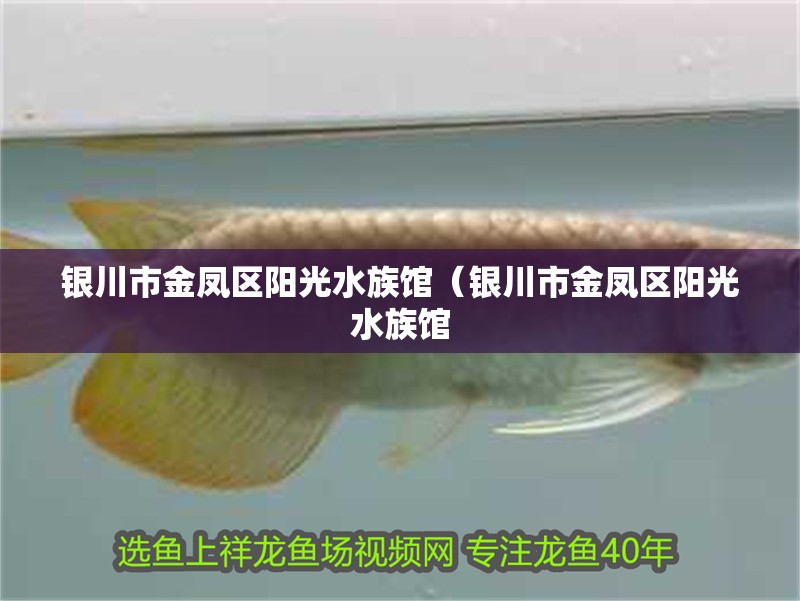 銀川市金鳳區陽光水族館（銀川市金鳳區陽光水族館