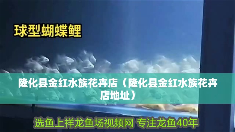 隆化縣金紅水族花卉店（隆化縣金紅水族花卉店地址） 隆化縣金紅水族花卉店（隆化縣金紅水族花卉店地址） 全國水族館企業名錄 第2張