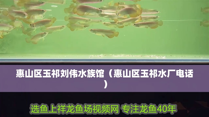 惠山區玉祁劉偉水族館（惠山區玉祁水廠電話）