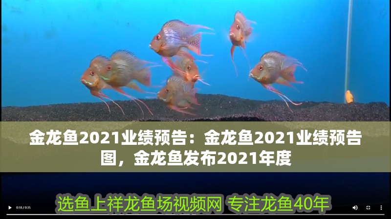 金龍魚2021業績預告：金龍魚2021業績預告圖，金龍魚發布2021年度