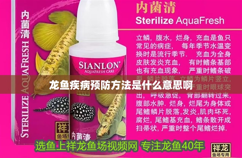 龍魚疾病預防方法是什么意思啊