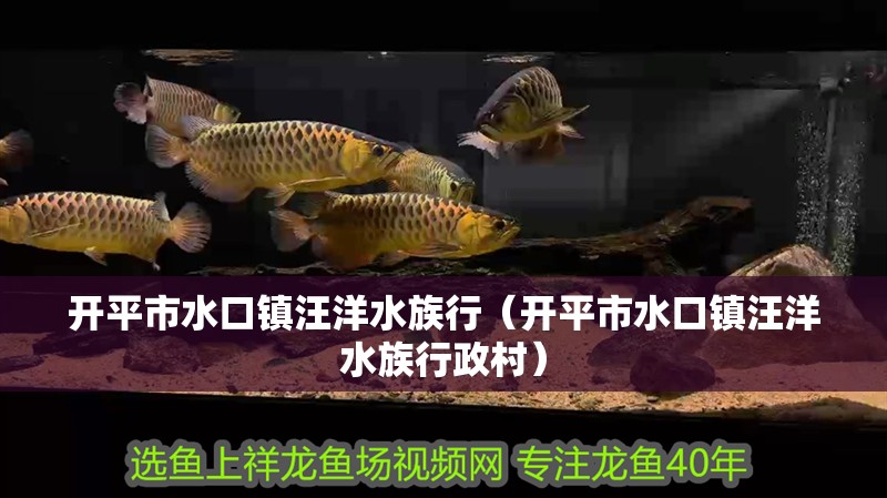 開平市水口鎮(zhèn)汪洋水族行（開平市水口鎮(zhèn)汪洋水族行政村）