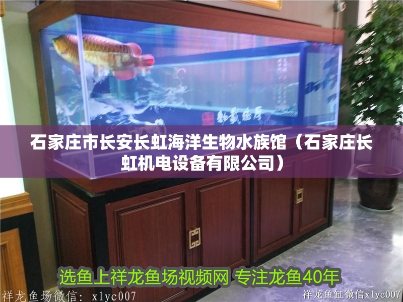 石家莊市長安長虹海洋生物水族館(石家莊長虹機(jī)電設(shè)備有限公司) 全國水族館企業(yè)名錄 第2張 石家莊市長安長虹海洋生物水族館(石家莊長虹機(jī)電設(shè)備有限公司) 石家莊市長安長虹海洋生物水族館(石家莊長虹機(jī)電設(shè)備有限公司) 全國水族館企業(yè)名錄 第2張