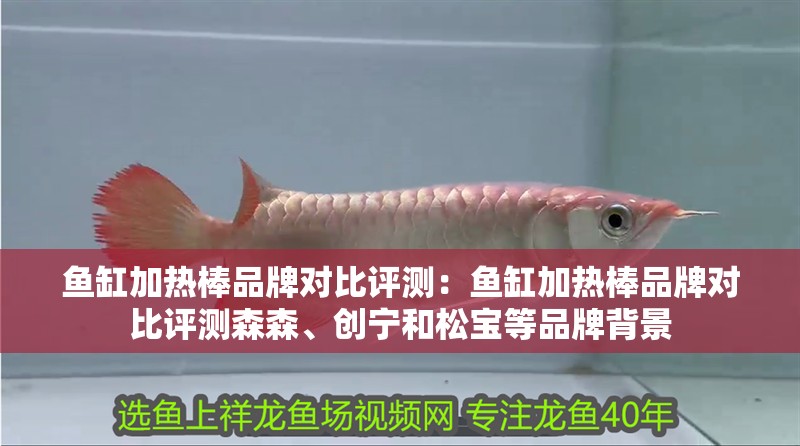 魚缸加熱棒品牌對比評測：魚缸加熱棒品牌對比評測森森、創寧和松寶等品牌背景 魚缸加熱棒品牌對比評測：魚缸加熱棒品牌對比評測森森、創寧和松寶等品牌背景 魚缸百科