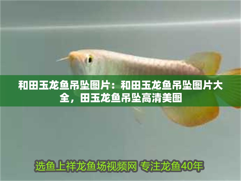 和田玉龍魚吊墜圖片：和田玉龍魚吊墜圖片大全，田玉龍魚吊墜高清美圖