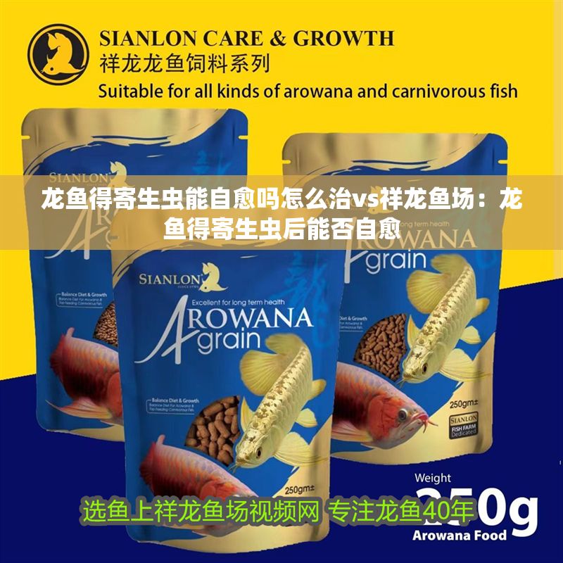 龍魚得寄生蟲能自愈嗎怎么治vs祥龍魚場：龍魚得寄生蟲后能否自愈