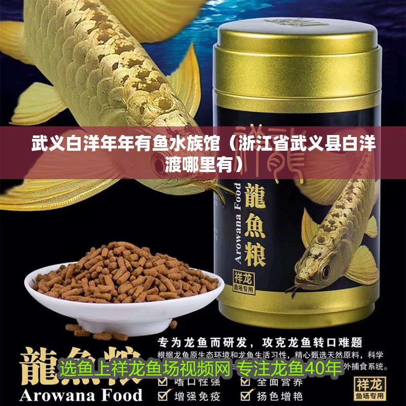 武義白洋年年有魚水族館（浙江省武義縣白洋渡哪里有）