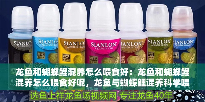 龍魚和蝴蝶鯉混養怎么喂食好：龍魚和蝴蝶鯉混養怎么喂食好呢，龍魚與蝴蝶鯉混養科學喂食